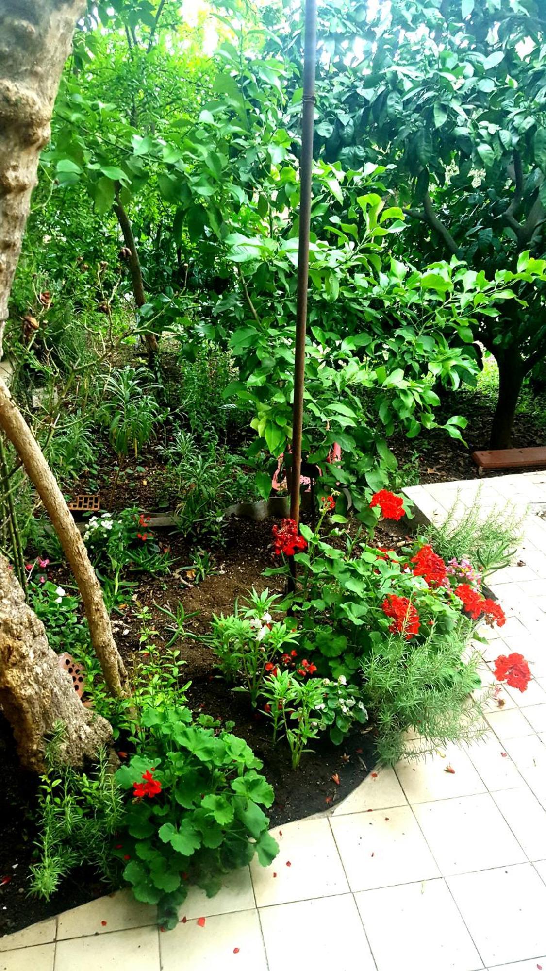 בטינה Apartments Vala מראה חיצוני תמונה